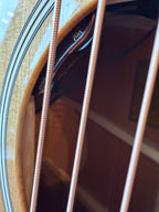 2025 Taylor 517e Gold Label Acoustic Electric Guitar