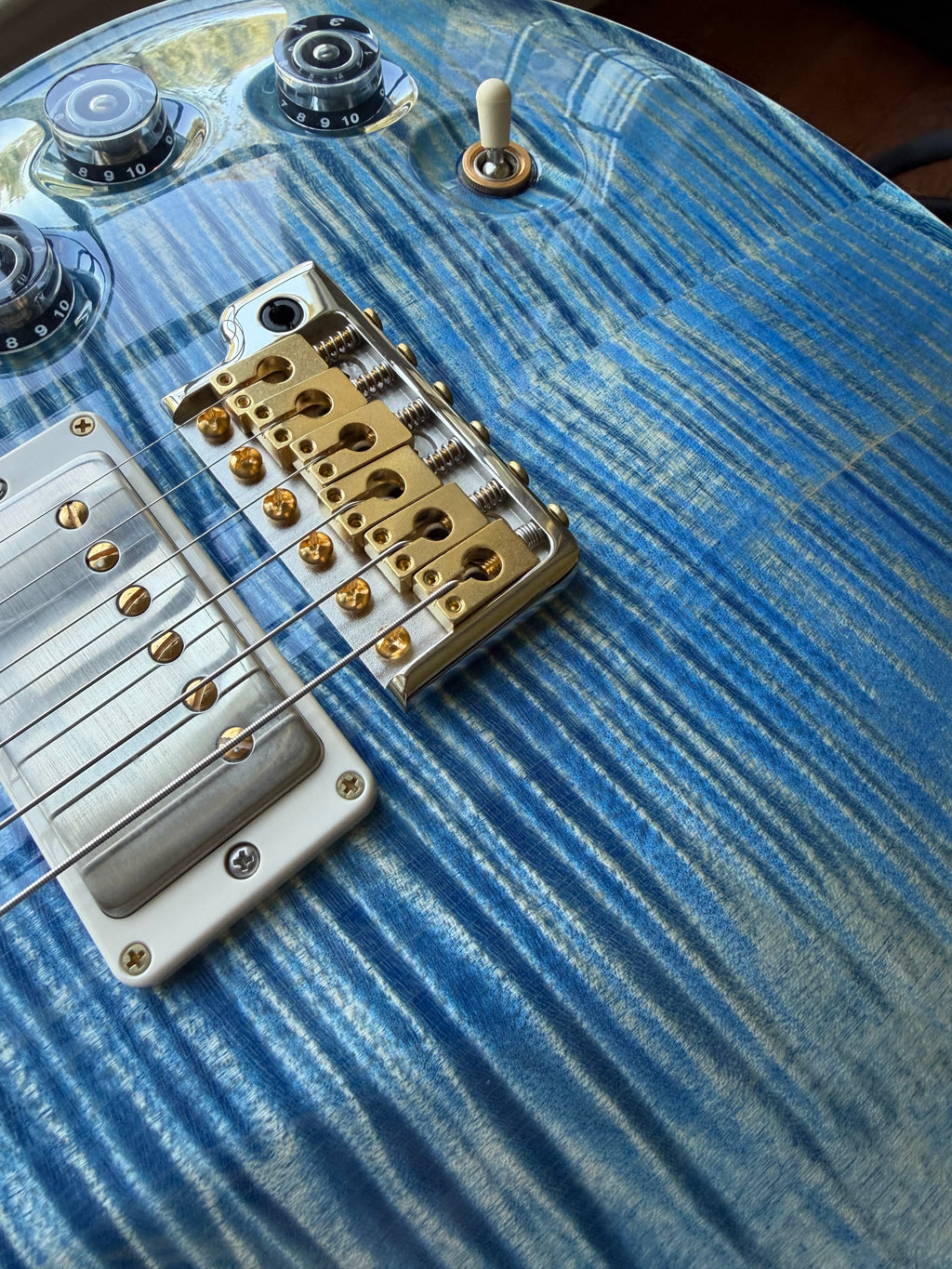 2025 PRS DGT Dave Grissom Signature 10 Top Birds - Faded Blue Jean