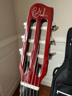 Godin Multiac ACS SA Nylon