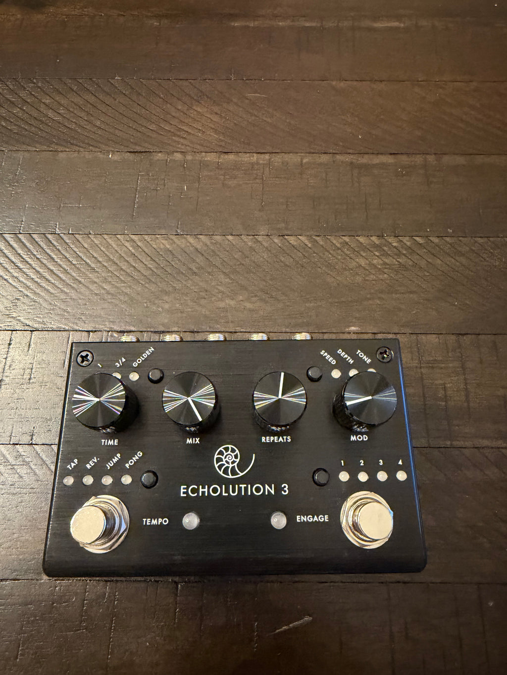 Pigtronix Echolution 3