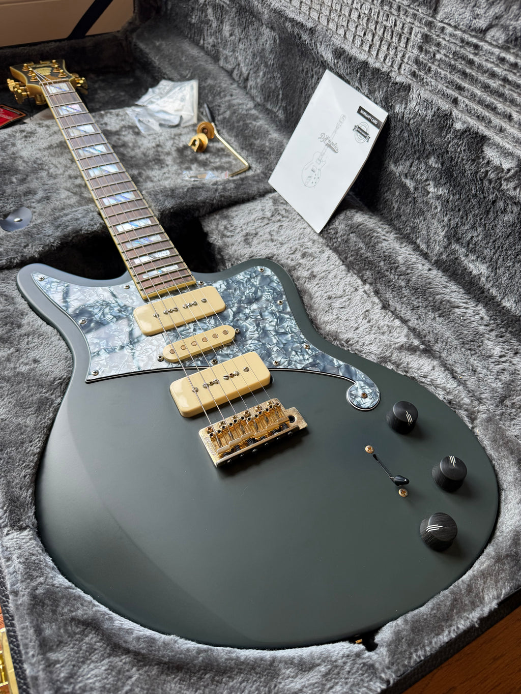 D'Angelico Deluxe Bob Weir Bedford - Matte Stone