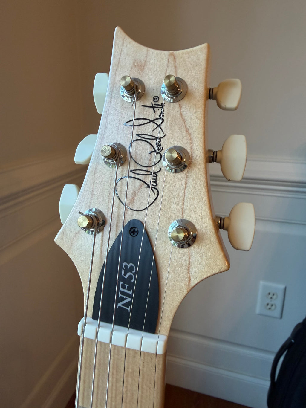 2025 PRS NF 53 - Blue Matteo
