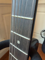 Ibanez PGMM21 Paul Gilbert Signature Mikro - Metallic Light Green