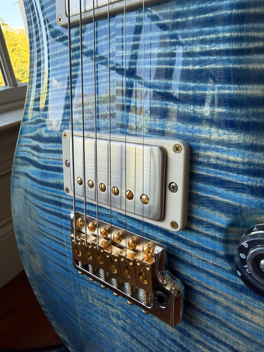 2025 PRS DGT Dave Grissom Signature 10 Top Birds - Faded Blue Jean