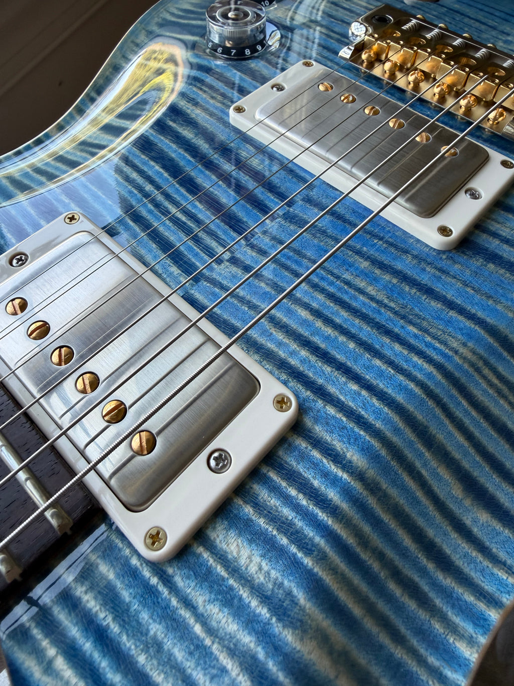 2025 PRS DGT Dave Grissom Signature 10 Top Birds - Faded Blue Jean