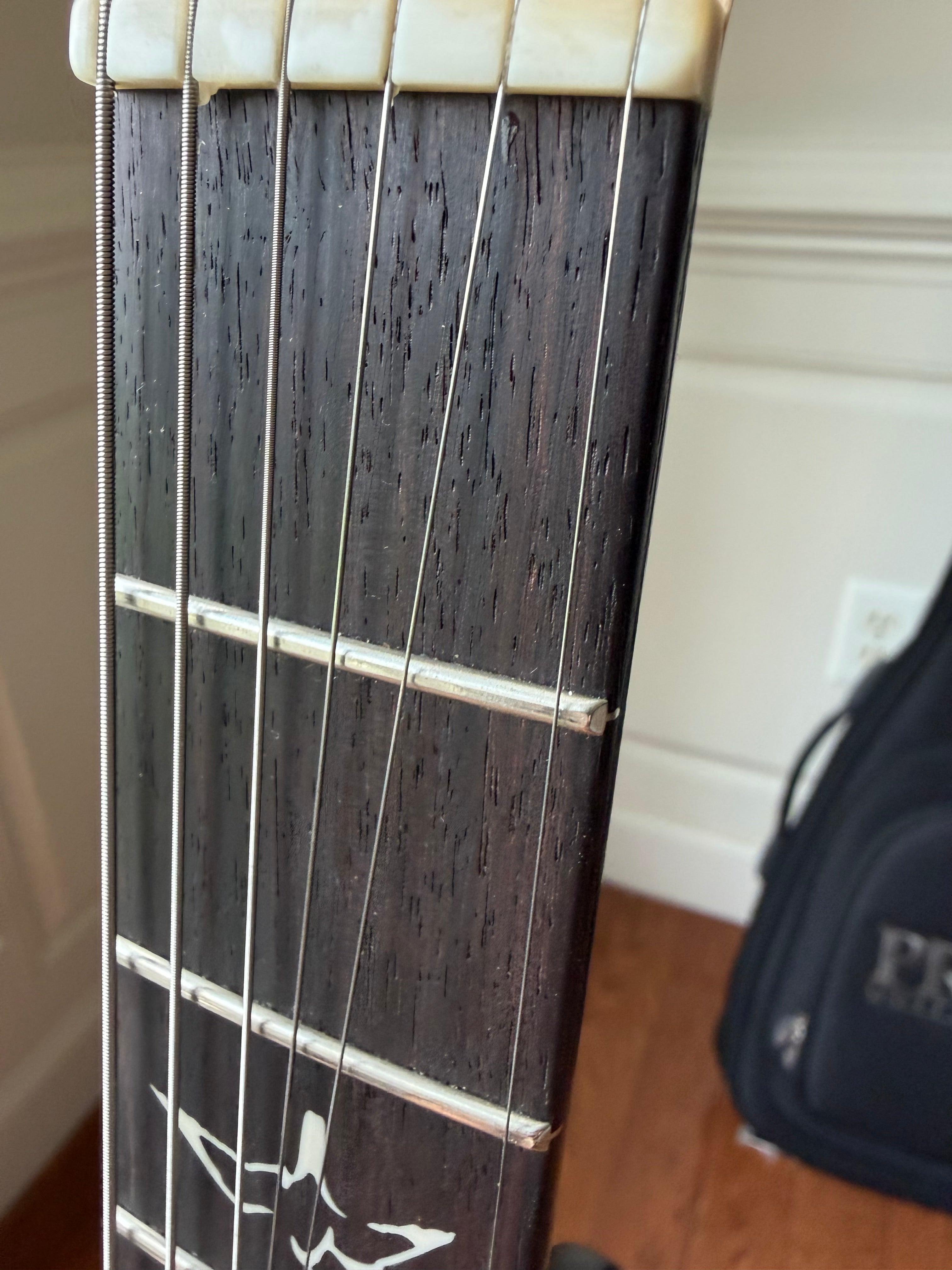 2025 PRS Fiore HH Mark Lettieri Signature Guitar - Amaryllis
