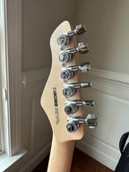 Boss Eurus GS-1 Synth Guitar