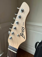 Boss Eurus GS-1 Synth Guitar