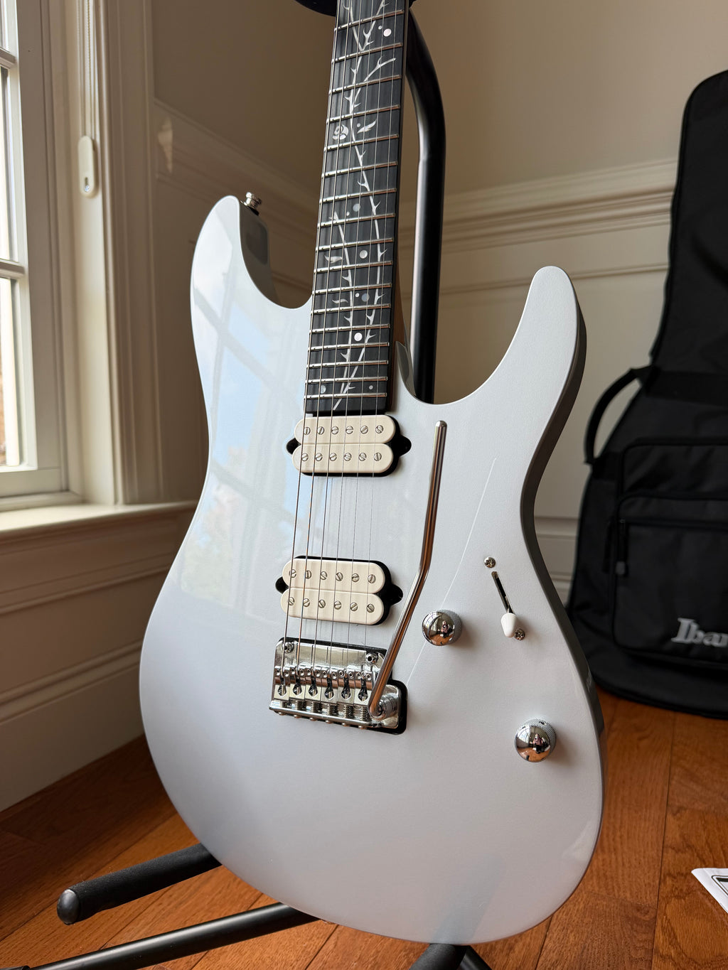 2024 Ibanez TOD10 Tim Henson Signature - Classic Silver