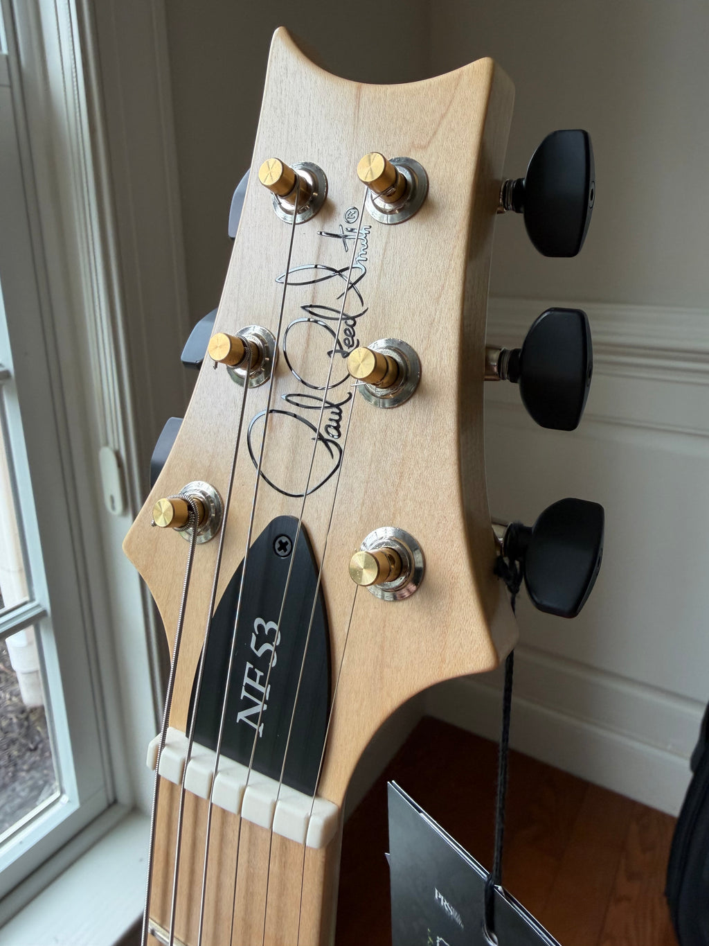 2025 PRS NF 53 Satin - Cloud Burst