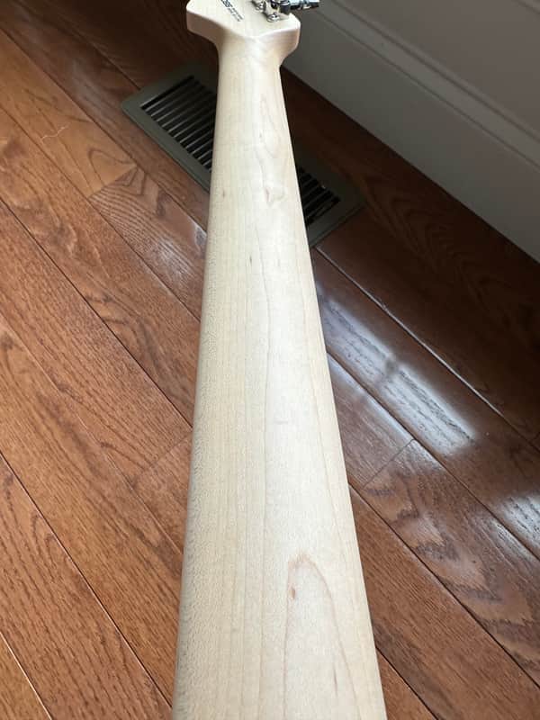 Boss Eurus GS-1 Synth Guitar