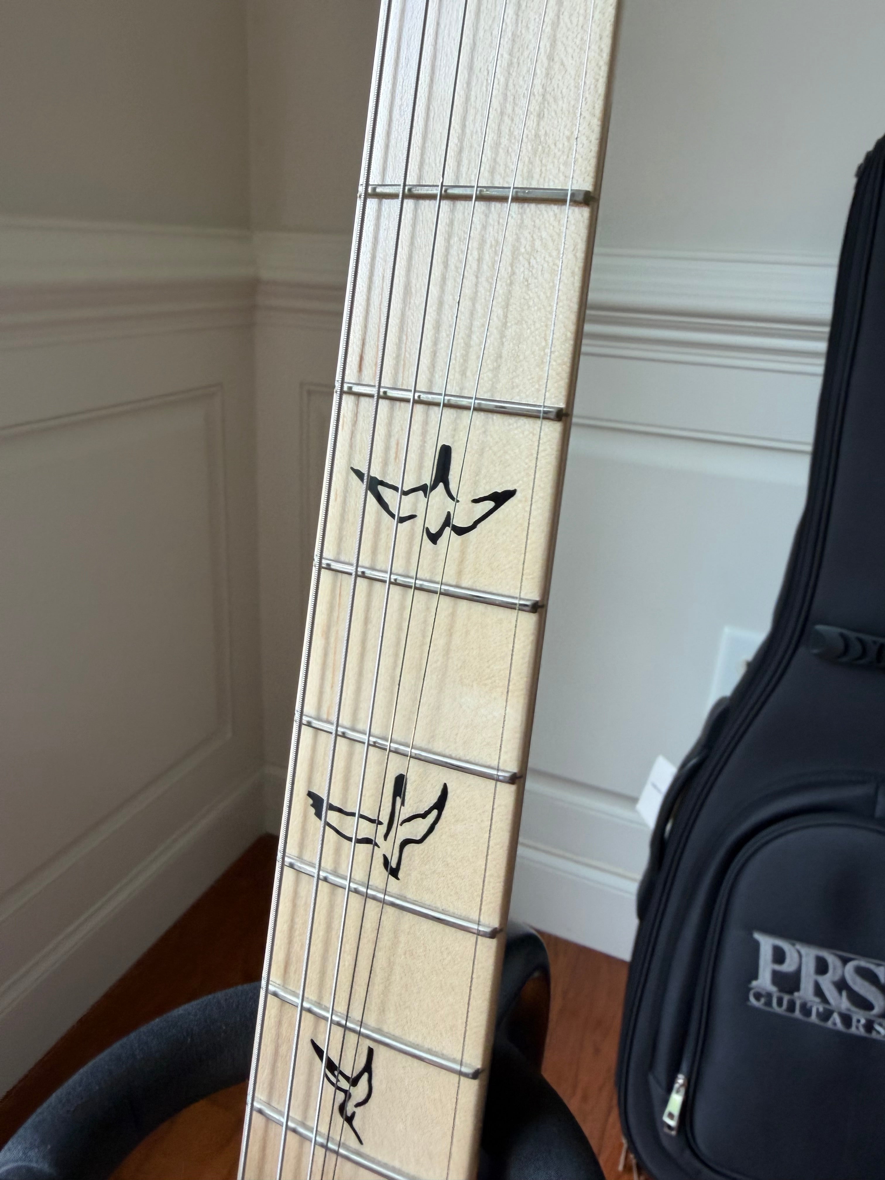 2024 PRS NF 53 - Blue Matteo