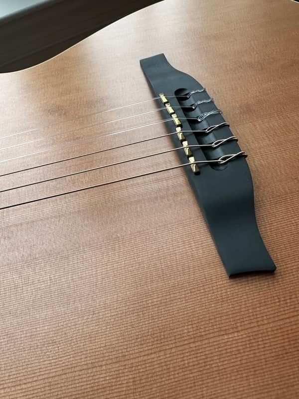 Godin Multiac ACS SA Nylon