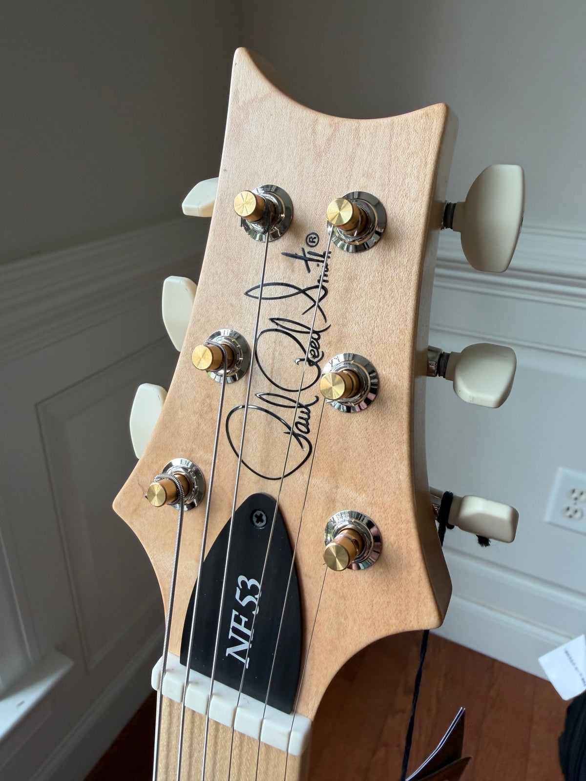 2025 PRS NF 53 - Frost Blue Metallic