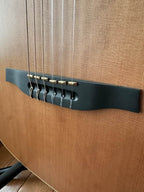 Godin Multiac ACS SA Nylon