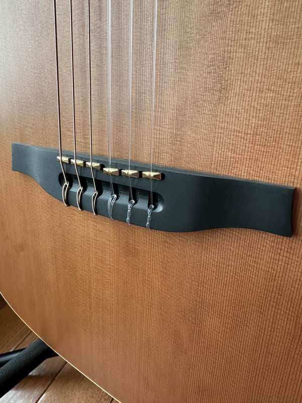 Godin Multiac ACS SA Nylon