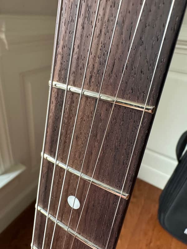 Boss Eurus GS-1 Synth Guitar