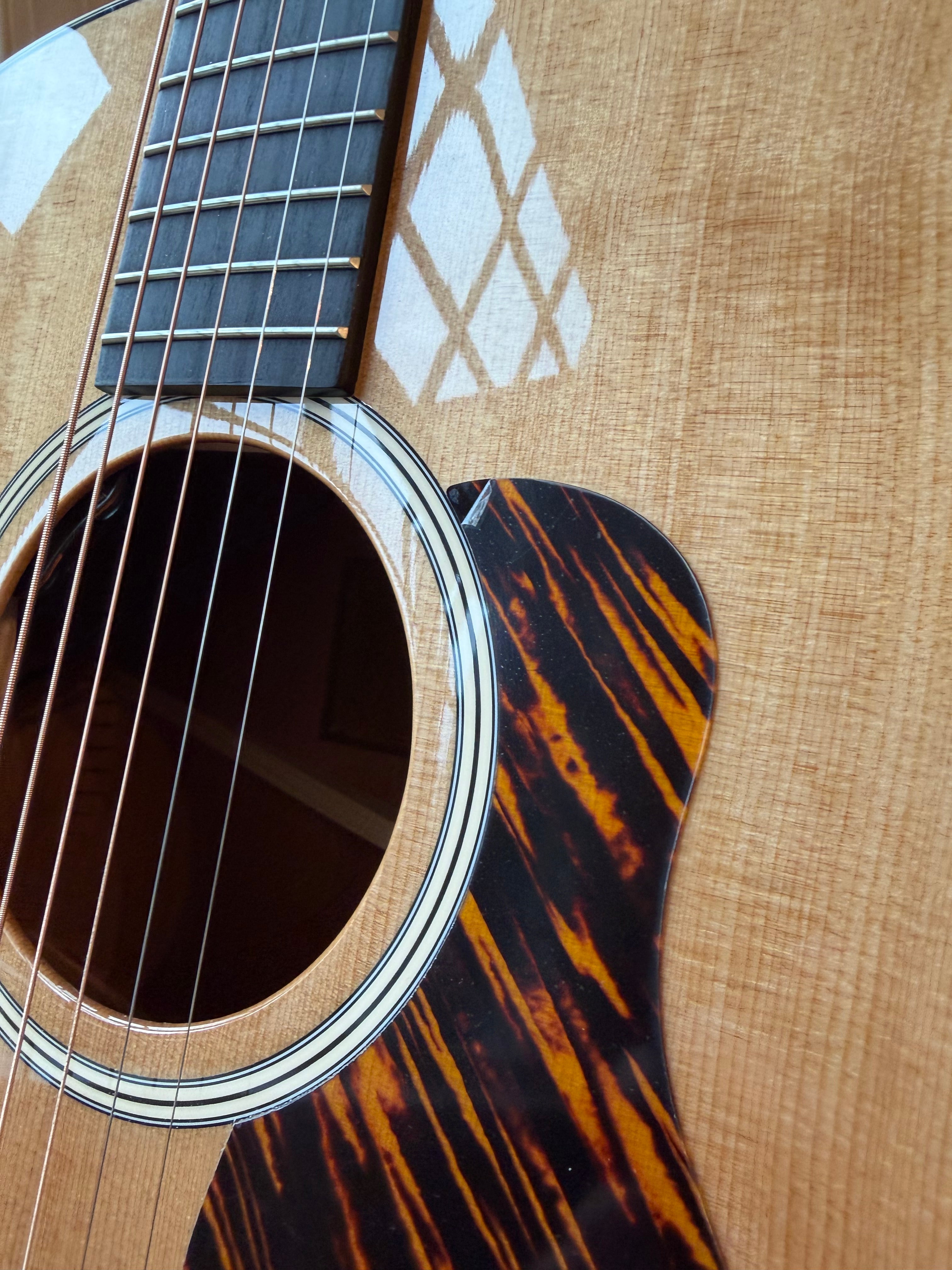 2025 Taylor 517e Gold Label Acoustic Electric Guitar