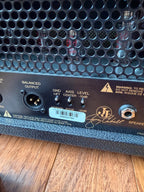 Friedman JJ-Junior Jerry Cantrell Signature 2-Channel 20-Watt Guitar Amp Head