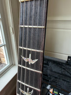2025 PRS Modern Eagle V 40th Anniversary - Aurora Borealis