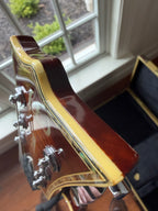 2002 ESP LTD EC-1000 Deluxe - Amber Burst