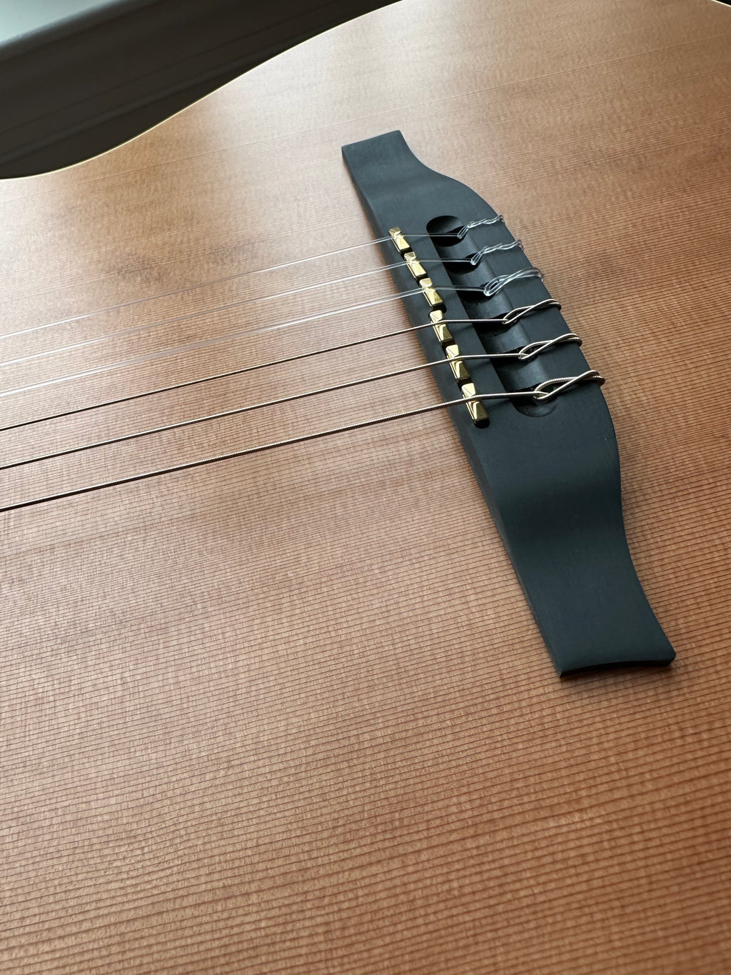 Godin Multiac ACS SA Nylon - Image 14