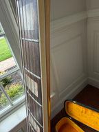 1967 Fender Coronado XII 12 String - Sunburst