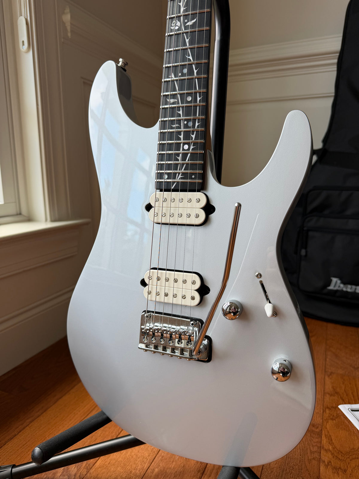 2024 Ibanez TOD10 Tim Henson Signature - Classic Silver
