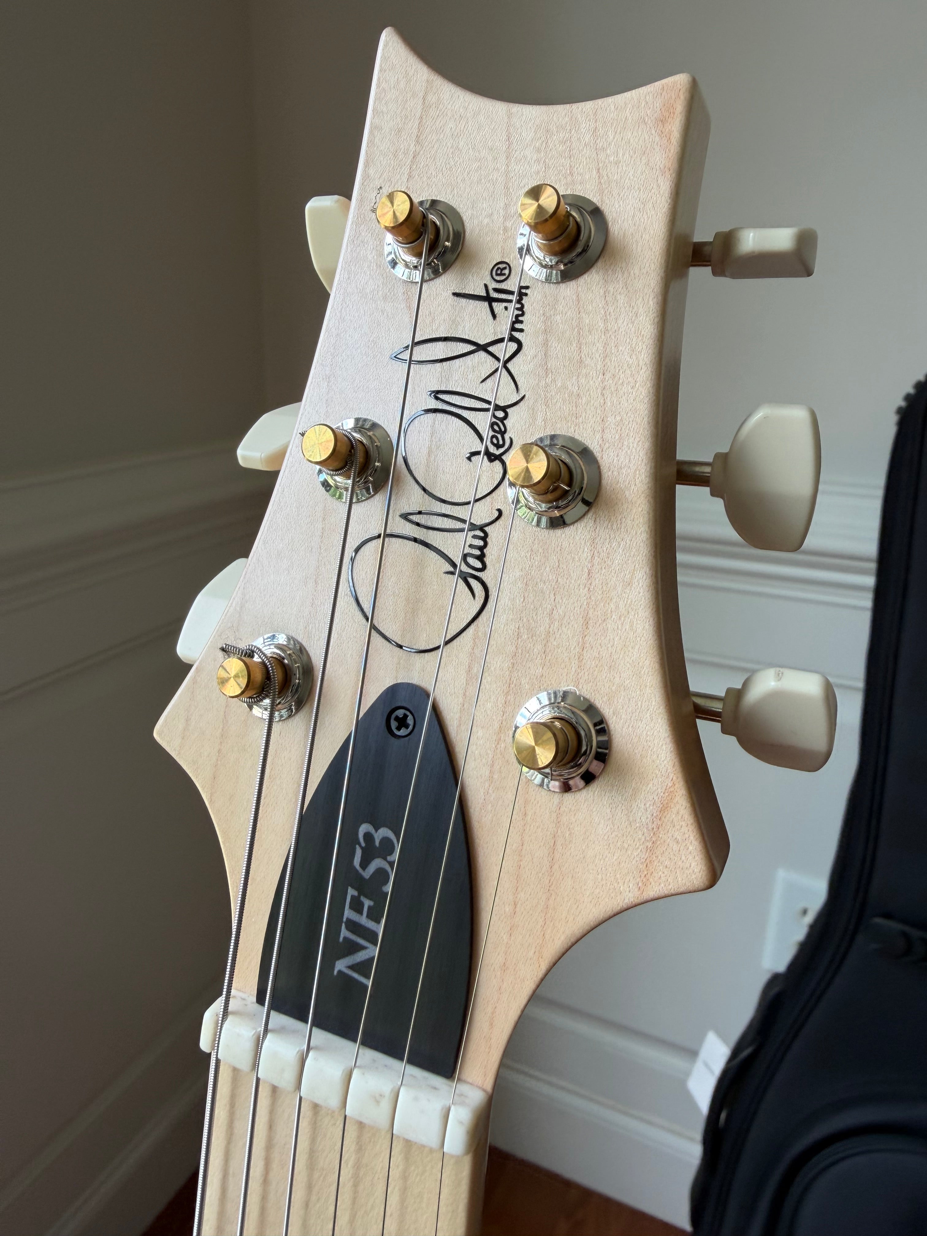 2024 PRS NF 53 - Blue Matteo