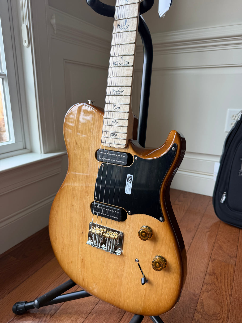 2025 PRS NF 53 - Vintage Natural